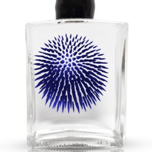 Glass bottle with blue starburst design.