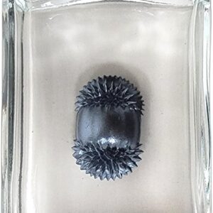 A glass bottle with a ferrofluid inside.